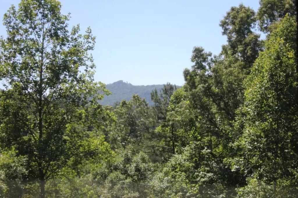 The Mountain Farmer Sevierville Bagian luar foto